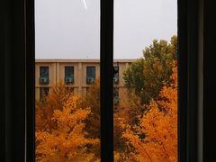 -北京化工大学(东校区)