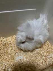 -酷嗒动物文化乐园(cutezoo西溪乐天城店)