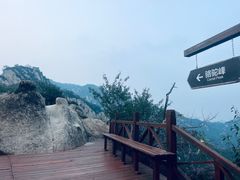 -大岭沟猕猴桃谷风景区