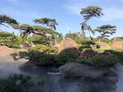 -罗红摄影艺术馆