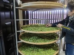 -阿巧茶庄