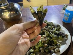 鸡爪螺（佛爪螺）-四季美蚝皇