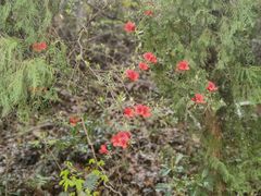 -天台山赤城山景区
