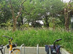 -上海山野camping·户外天幕烧烤·团建拓展营地