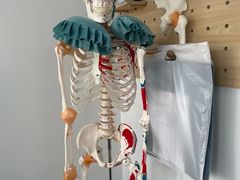 -体博士·疼痛调理·体态矫正·运动康复中心(大望路华贸店)