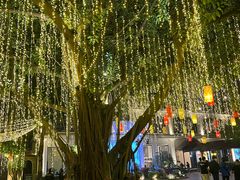 -河内西湖莲花自助餐厅