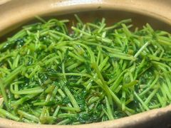 香啫豆苗-廖川菜(金虹桥店)