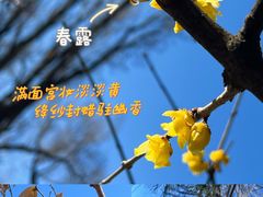 -陶然亭公园