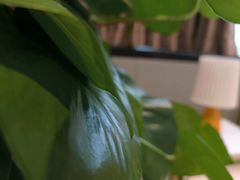 -壹点灵·心理咨询中心(中山公园店)