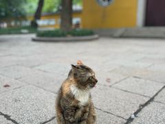-西园戒幢律寺