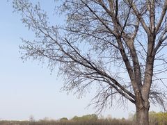 -天津武清北运河郊野公园房车露营地