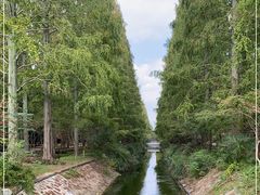 -东平国家森林公园