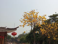 -广州莲花山旅游区