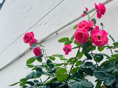 -衣裳街历史文化街区