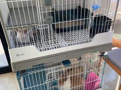 -小意思咖啡店(草桥店)