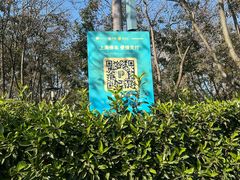 -比斯特上海购物村精品奥特莱斯