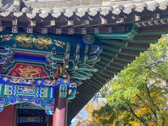 -护国法轮寺