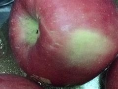 -仲雅水果大卖场(仲雅苑店)