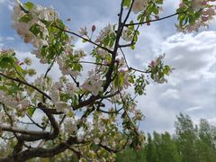 -野鸭湖国家湿地公园