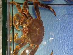 -阿伟海鲜楼·福建菜(延寿店)