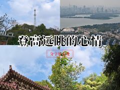 -紫金山天文台