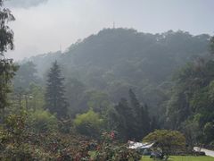 -缙云山景区