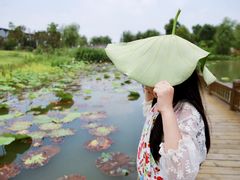 -嬉乐湾休闲旅游区