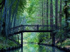 -同里国家湿地公园