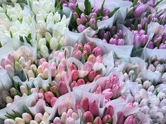 -循礼门鲜花花市(武汉循礼门店)