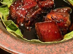 -佬肥猫(七宝宝龙店)