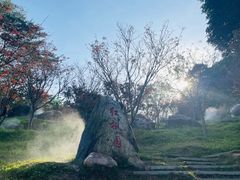 -广州市帽峰山景区