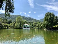 -广州市白云山风景名胜区