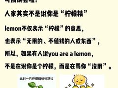 -I-Shine英语国际教育(大三林中心)