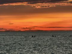 -Sunset Bar(丹绒亚路香格里拉店)