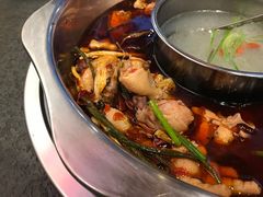 -重庆烧鸡公火锅(簋街店)