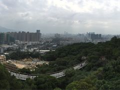 -金鸡山公园
