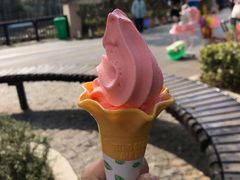 -上方山森林动物世界