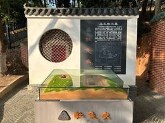 -马王堆汉墓遗址