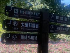 -野象谷景区