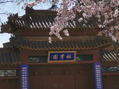 -桃花堤公园