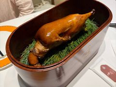 -鹿园 MOOSE(长宁店)