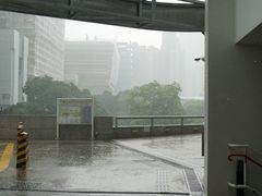 -香港大学