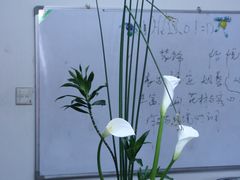-荷兰布尔玛国际花艺学院