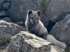 -灵山