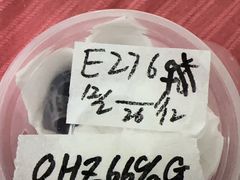 -酷以爬仙阁实体爬宠店·守宫·蜥蜴·专业繁育