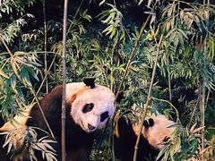 -天津自然博物馆