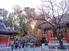 -香山公园
