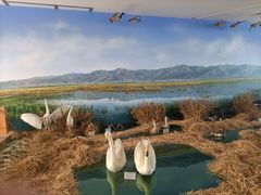 -延庆地质公园博物馆