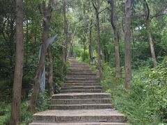 -云龙山