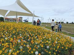 -歌斐颂巧克力小镇